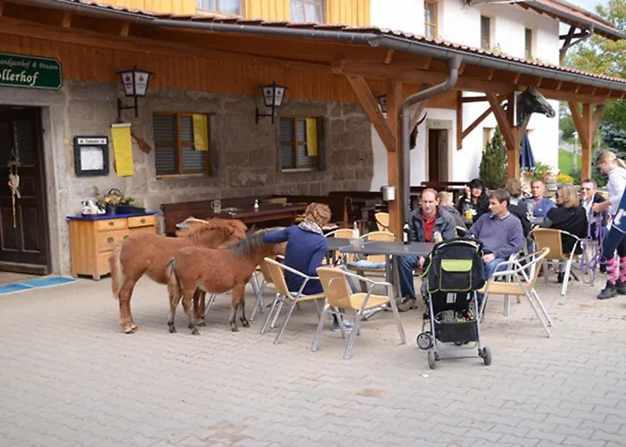 Gospodarstwo wiejskie Kollerhof *