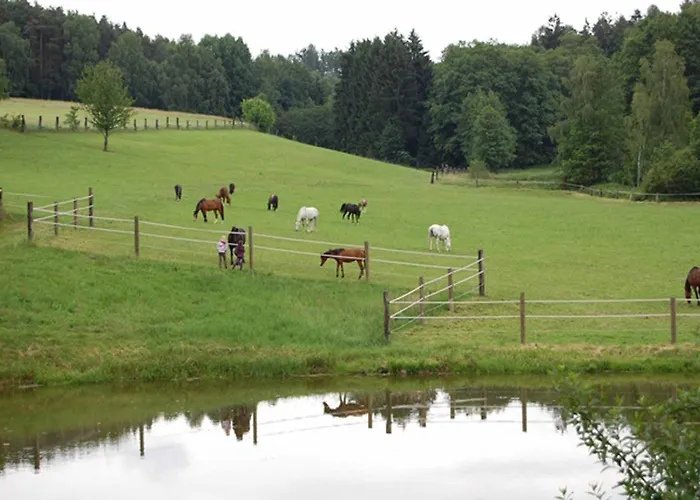 Kollerhof Neunburg vorm Wald