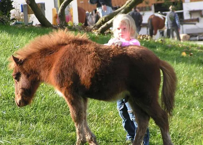 Kollerhof Gospodarstwo wiejskie