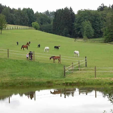 Kollerhof Neunburg vorm Wald