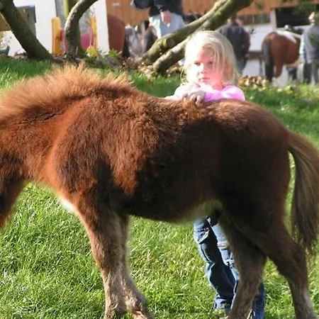 Kollerhof Venkovský dům